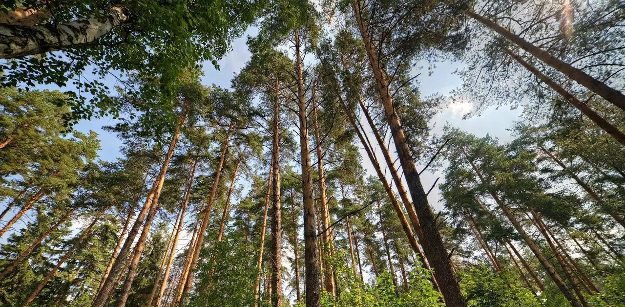 земля городской округ Можайский д Грибово Рассказовка, 21 фото 1