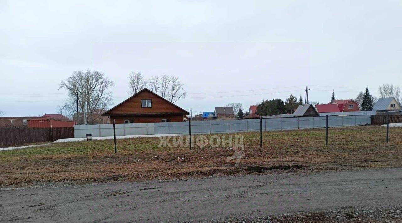 земля р-н Новосибирский с Береговое ул Центральная Боровской сельсовет фото 1