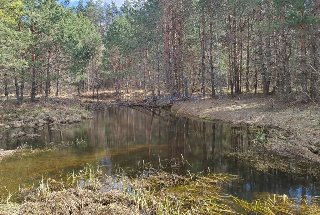 земля р-н Богородский д Победиха фото 4