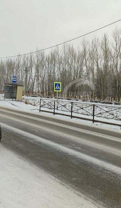 земля р-н Новоусманский с Бабяково Бабяковское сельское поселение фото 4