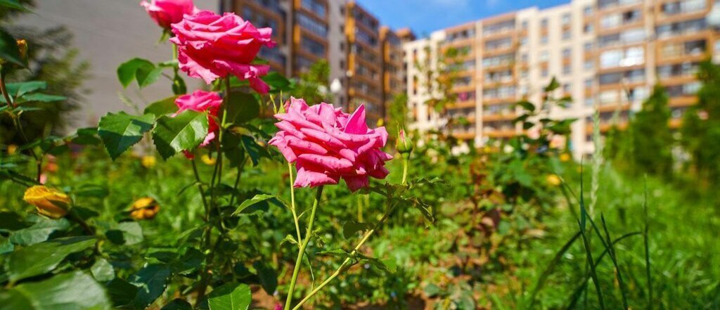 квартира городской округ Мытищи д Пирогово ул Сурикова 1 Медведково фото 3