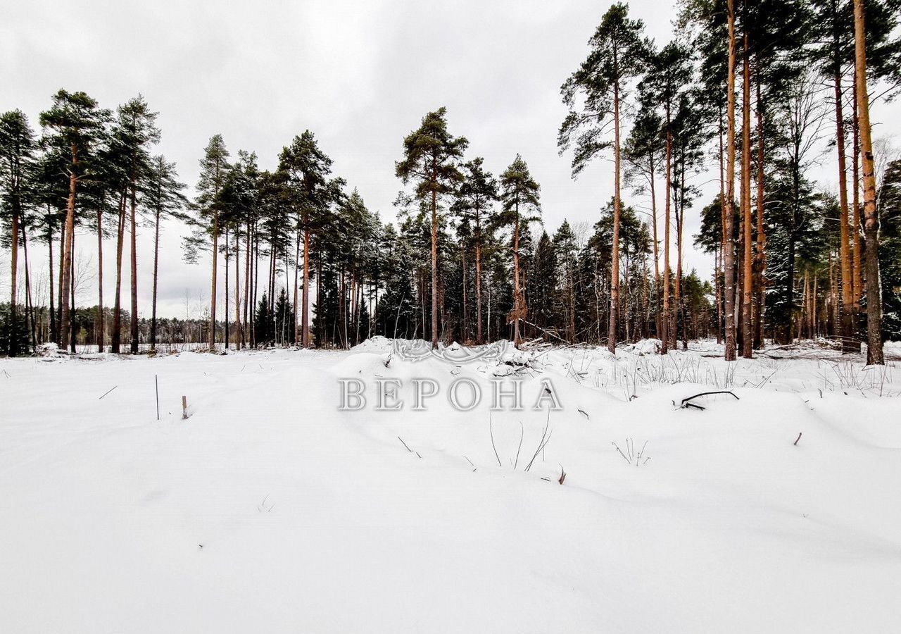 земля городской округ Богородский г Ногинск 36 км, д. Пешково, Горьковское шоссе фото 1