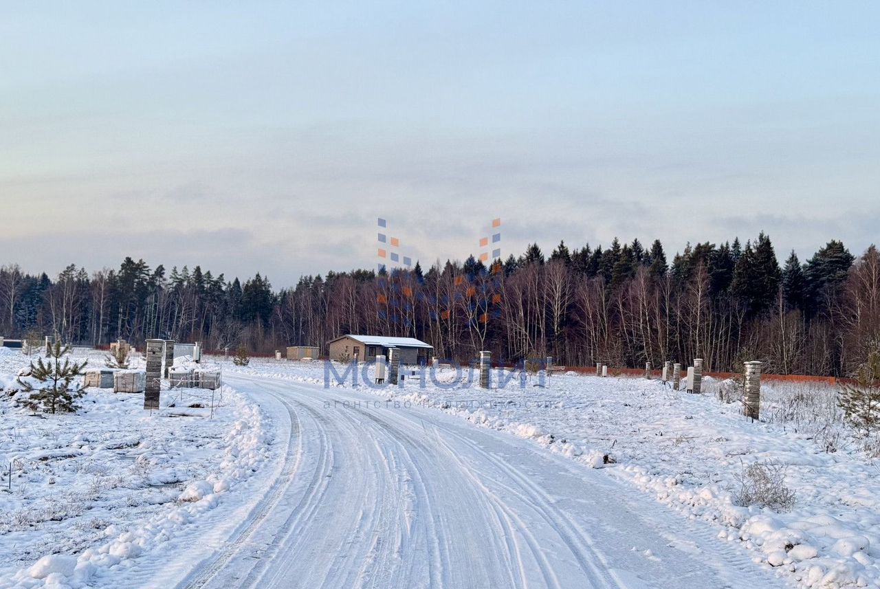 земля городской округ Истра г Снегири 25 км, квартал 0040361, г. о. Истра, Пятницкое шоссе фото 6