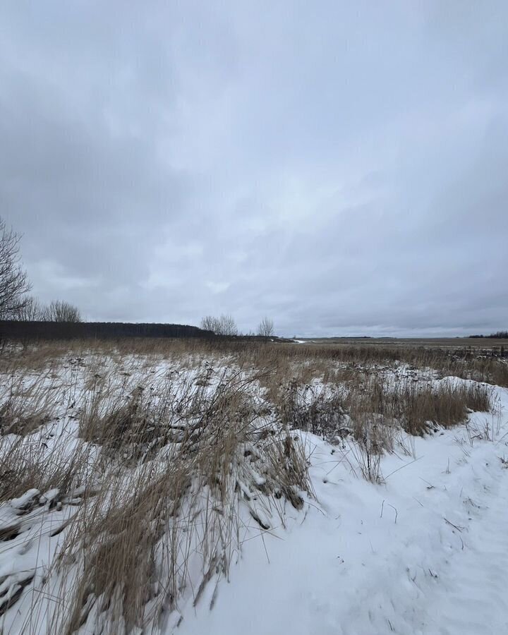 земля городской округ Коломенский п Проводник ул Дачная 75 км, Коломна, Новорязанское шоссе фото 1