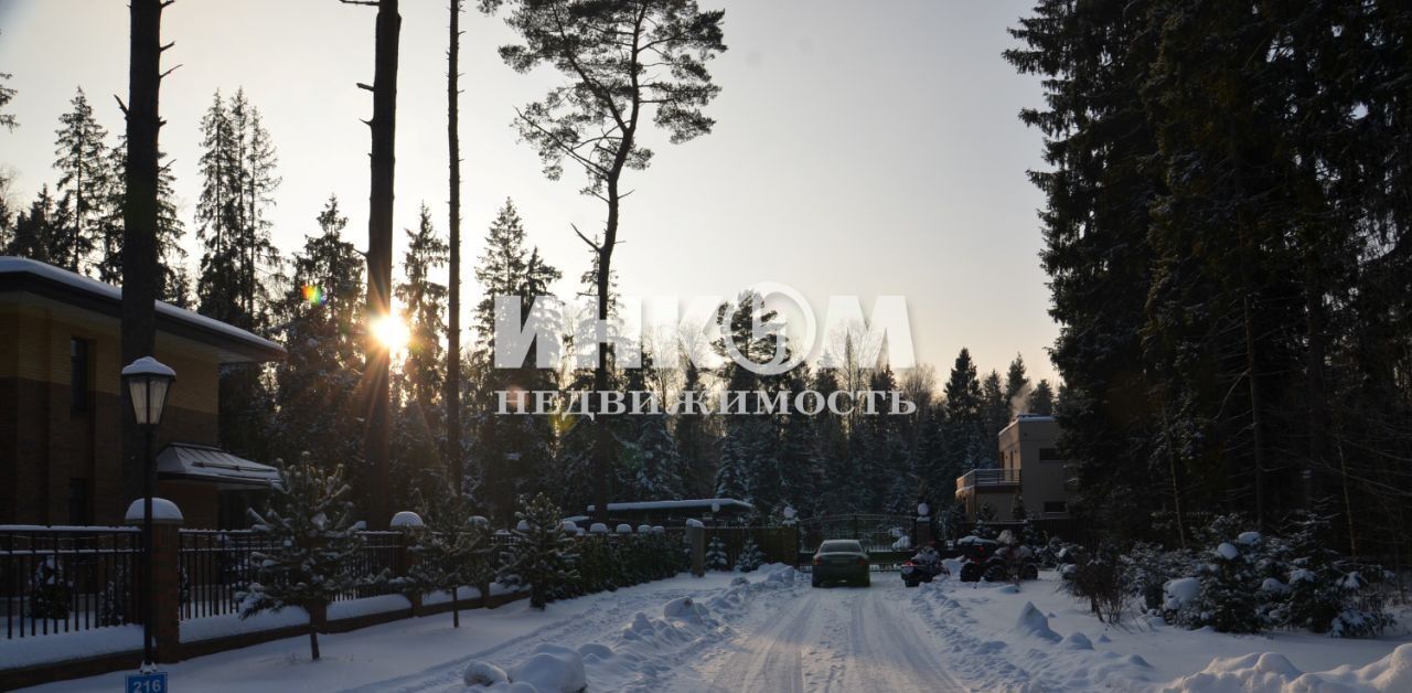 земля городской округ Пушкинский д Могильцы р-н мкр Пушкинский лес 322 фото 11