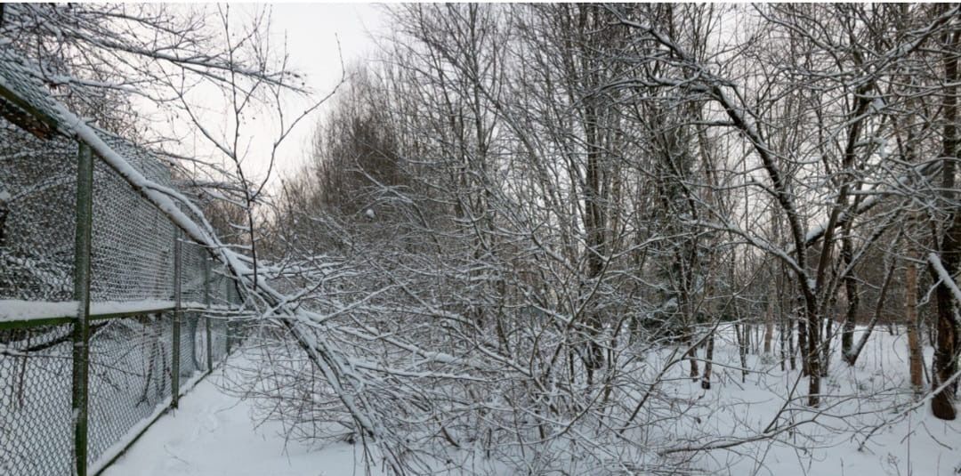 земля городской округ Сергиево-Посадский Рыбацкая Деревня ДНП фото 8