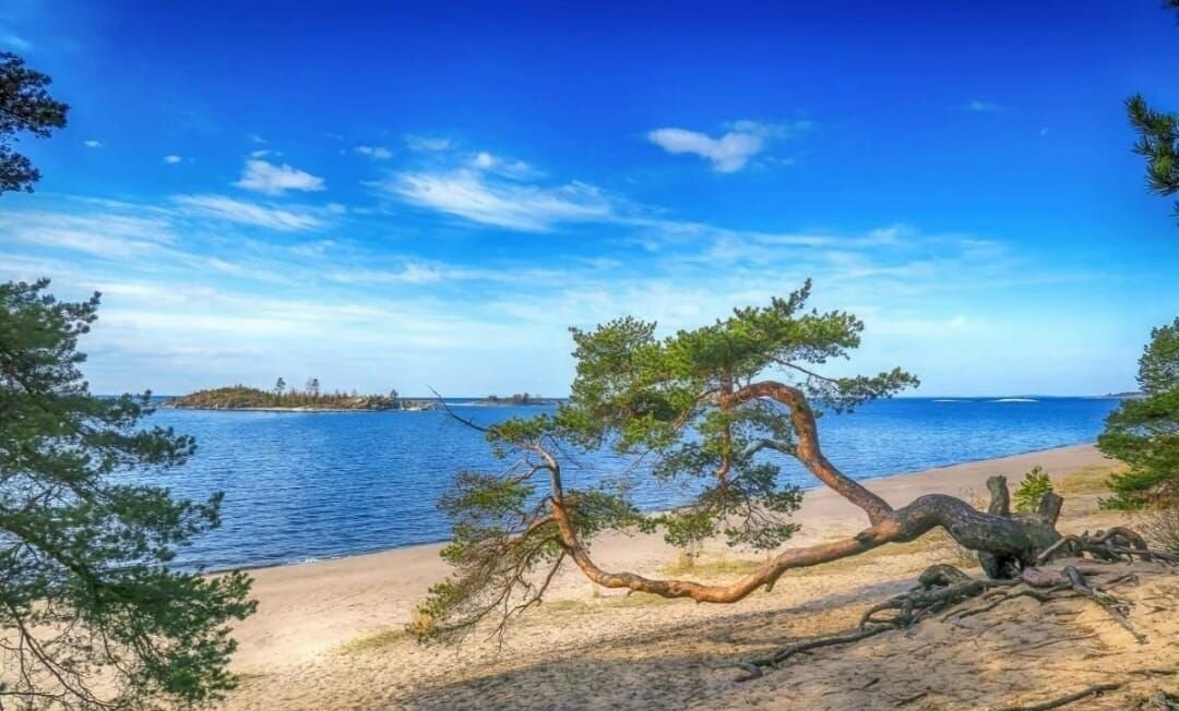 земля р-н Лахденпохский Куркиёкское сельское поселение, Ленинградская область, Кузнечное фото 1