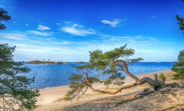 земля Куркиёкское сельское поселение, Ленинградская область, Кузнечное фото