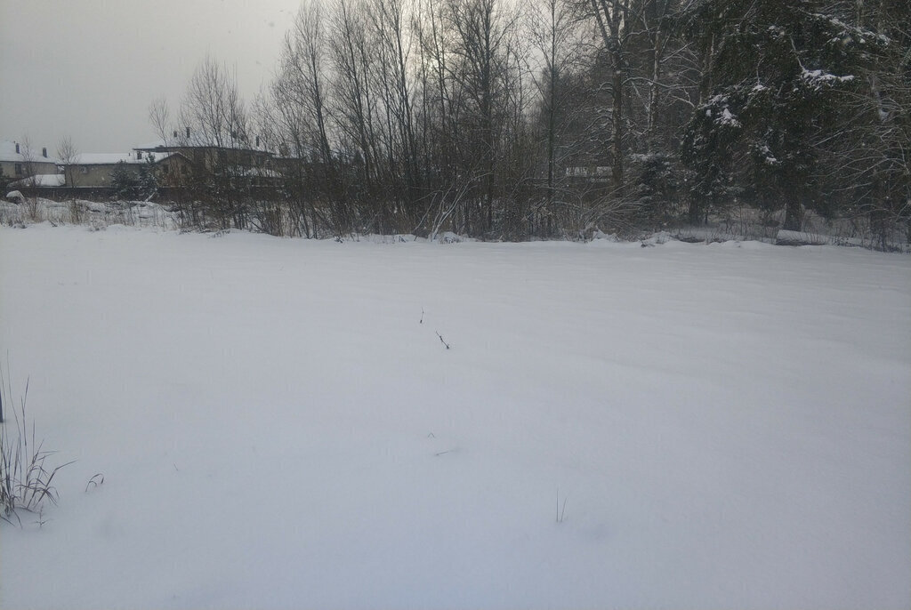 земля городской округ Наро-Фоминский д Жёдочи Апрелевка фото 6