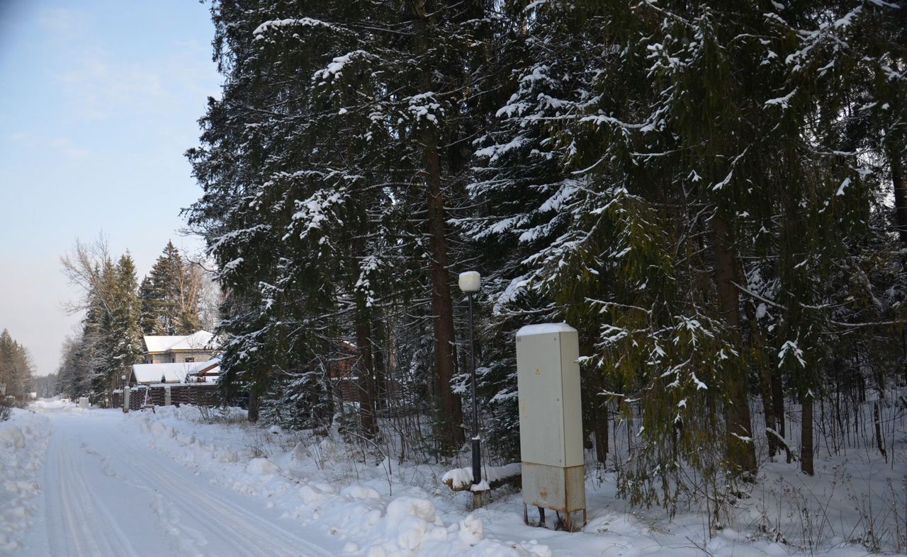 земля городской округ Пушкинский д Могильцы р-н мкр Пушкинский лес 32 км, Лес, 322, Софрино, Ярославское шоссе фото 10