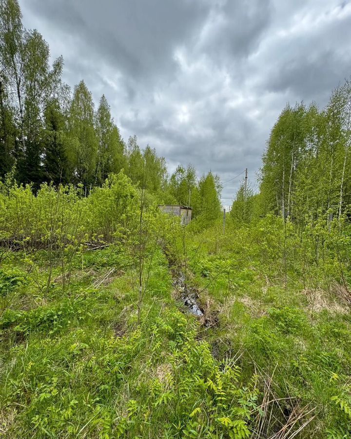 земля городской округ Клин д Подтеребово ул Озерная 17 78 км, Рогачево, Рогачёвское шоссе фото 1