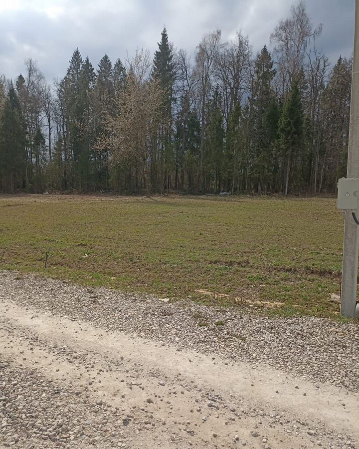 земля городской округ Пушкинский п Софрино 30 км, коттеджный пос. Бортнево-5, ул. Суворова, 7, Ярославское шоссе фото 1