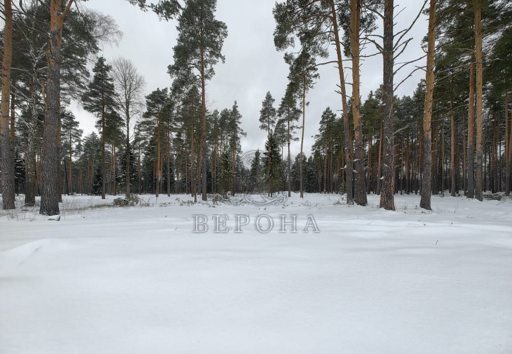 земля городской округ Богородский г Ногинск 36 км, д. Пешково, Горьковское шоссе фото 4