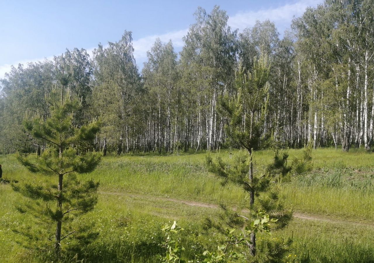 земля р-н Каменский с Покровское Каменск-Уральский фото 1