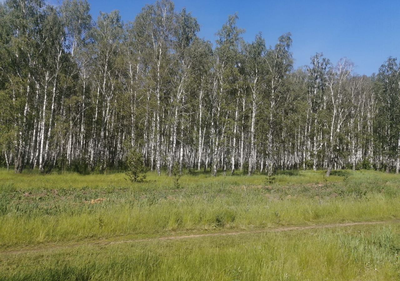 земля р-н Каменский с Покровское Каменск-Уральский фото 2