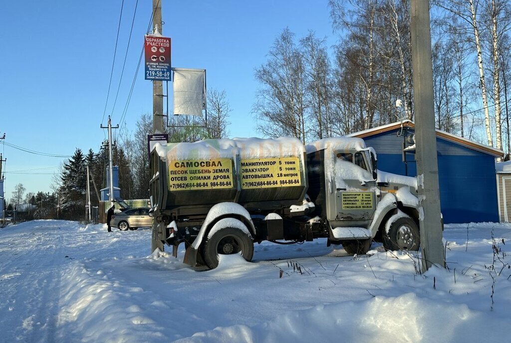 земля р-н Кировский массив Восход снт Лесное Синявинское городское поселение фото 16