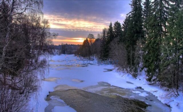 снт Дубравушка Городец, садоводческое товарищество фото