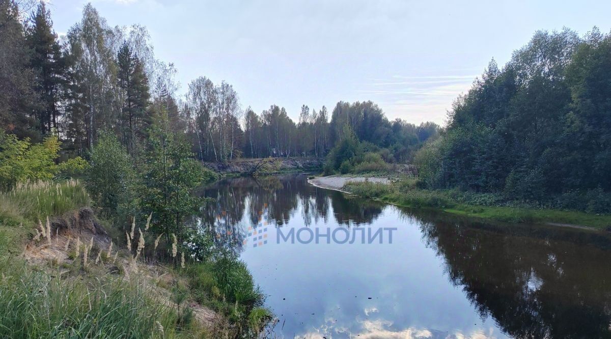 земля р-н Городецкий д Воловое (Николо-Погостинский с/с) Дубравушка, садоводческое товарищество фото 3