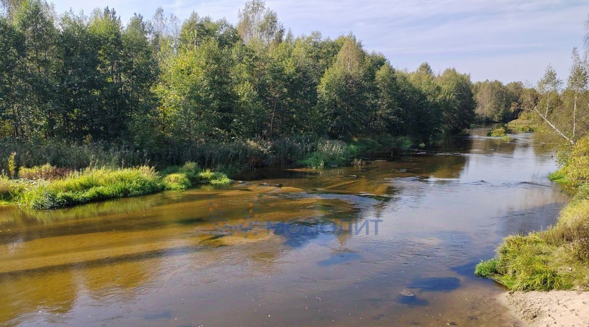 земля р-н Городецкий д Воловое (Николо-Погостинский с/с) Дубравушка, садоводческое товарищество фото 4