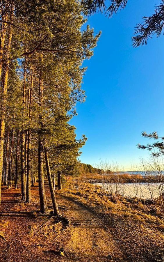 дом р-н Медвежьегорский г Медвежьегорск Медвежьегорское городское поселение, мкр-н Восточный фото 5