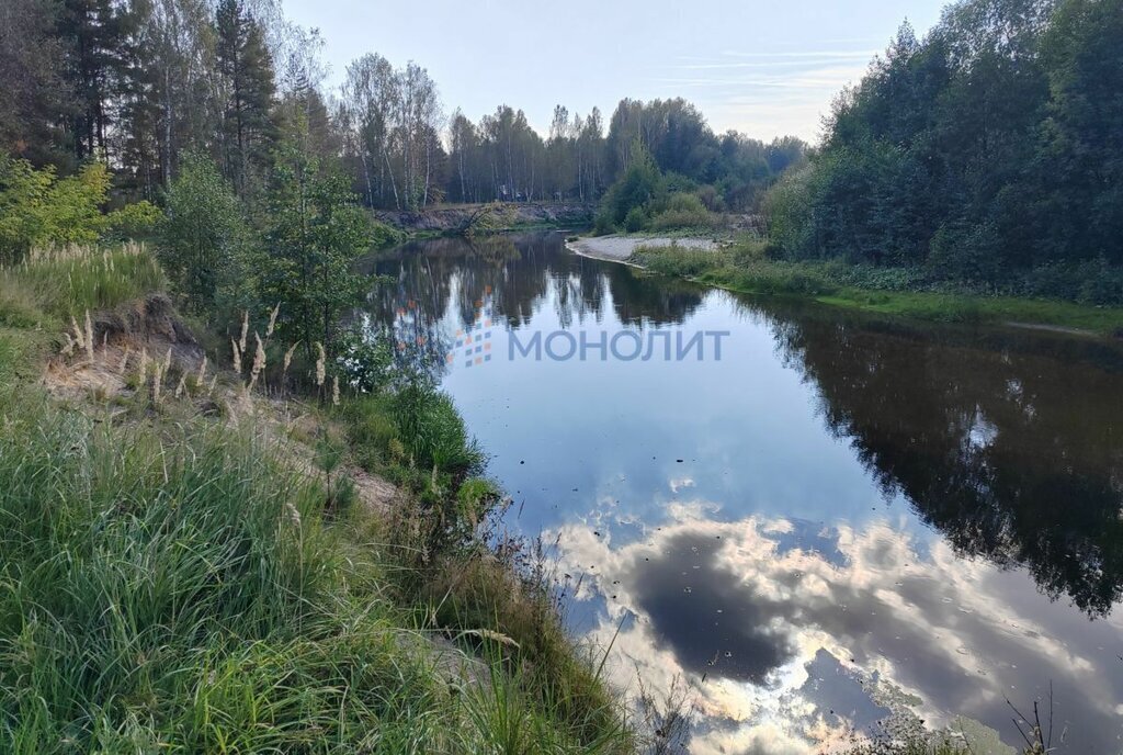 земля р-н Городецкий д Воловое (Николо-Погостинский с/с) снт Дубравушка садоводческое товарищество фото 3