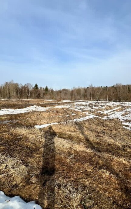 земля р-н Вологодский деревня Мальгино Подлесный сельсовет фото 4