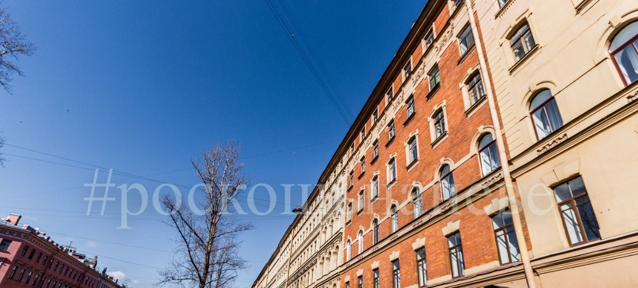 свободного назначения г Санкт-Петербург метро Спасская наб Канала Грибоедова 54 Сенной округ фото 6