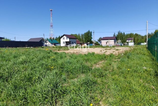 Тосненское городское поселение фото