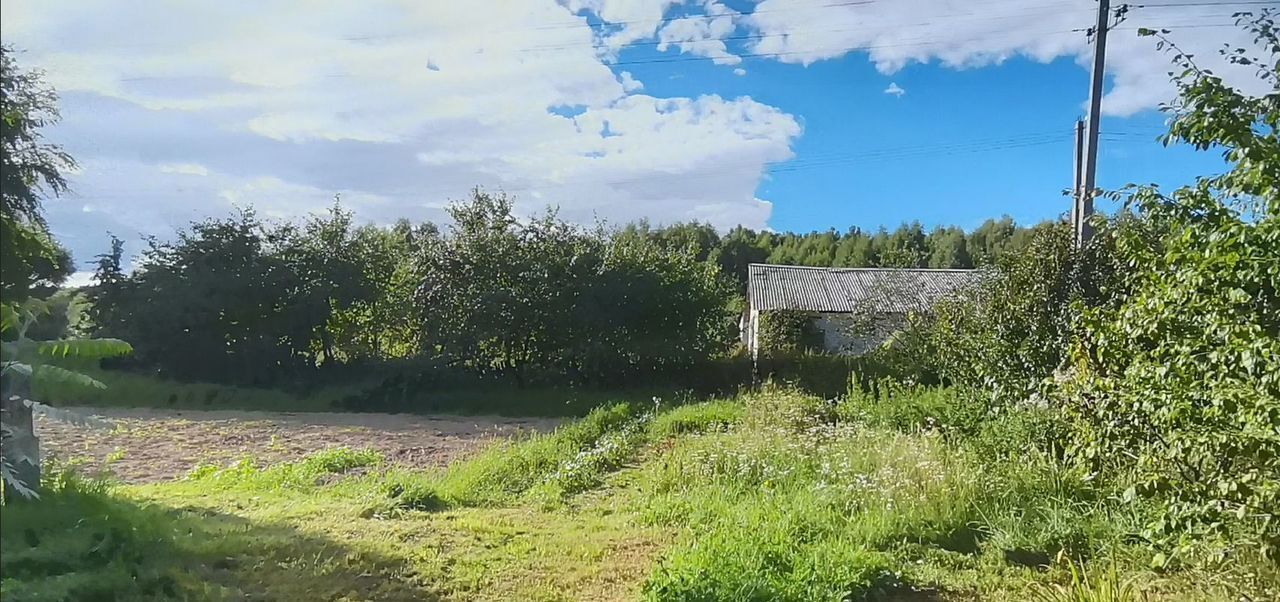 дом р-н Рогнединский д Лутовиновка Вороновское сельское поселение, Дубровка фото 18