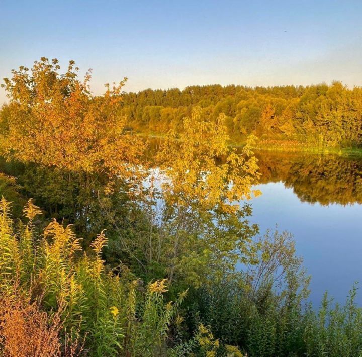 земля городской округ Красногорск д Грибаново фото 12