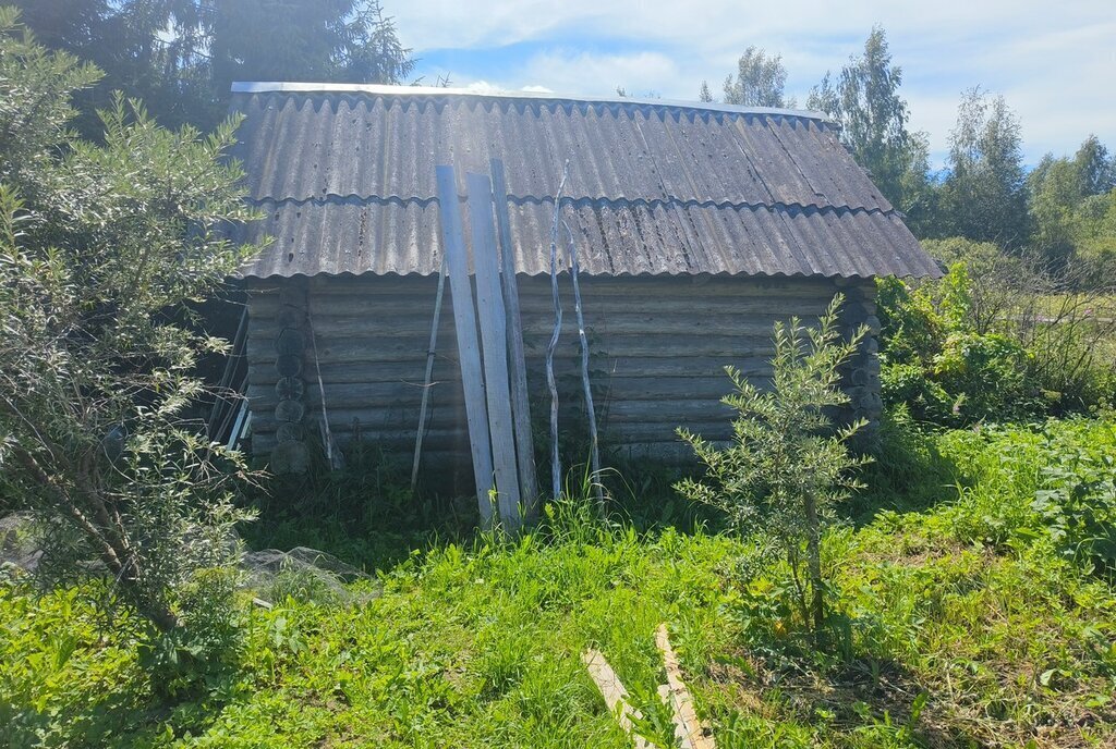 дом р-н Струго-Красненский д Молоди фото 19