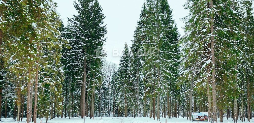 земля городской округ Клин п Раздолье фото 4