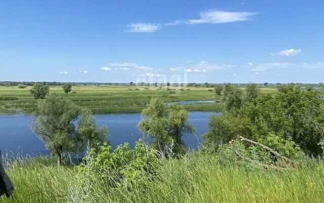 земля р-н Энгельсский с Подстепное Красноярское муниципальное образование фото 10