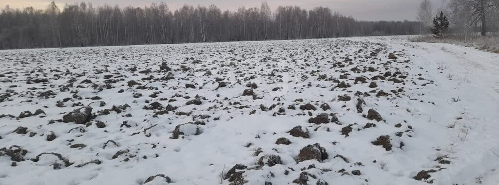 земля р-н Нижнетавдинский п Чугунаево фото 1