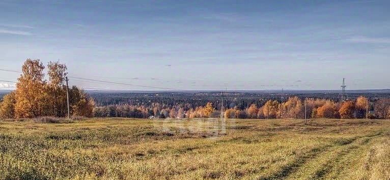 земля р-н Верхнеуслонский с Лесные Моркваши ул Центральная Набережно-Морквашское с/пос фото 3