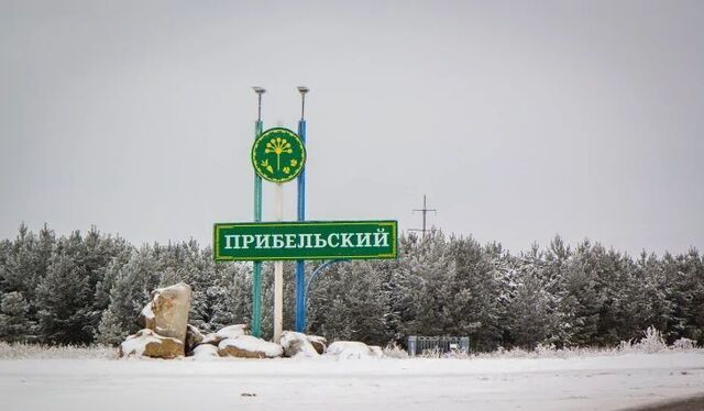 земля сельсовет, ул. Заки Валиди, 49, Прибельский фото