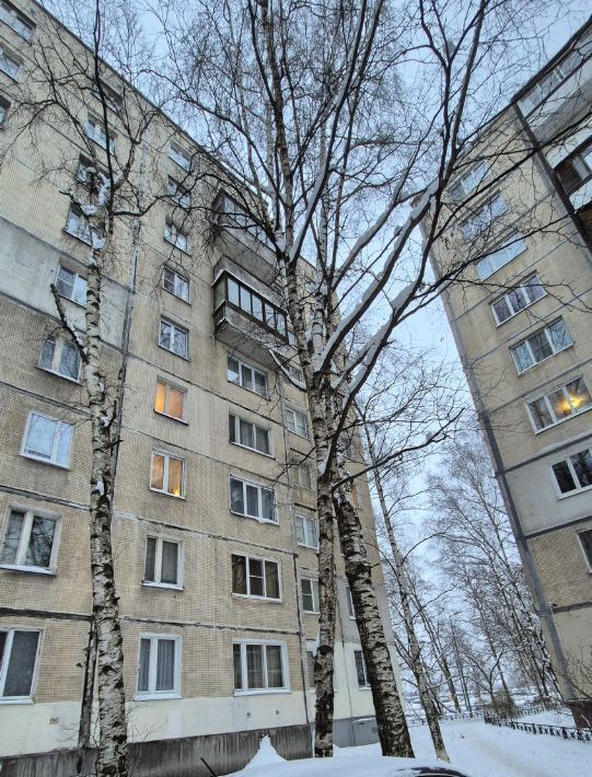 квартира г Санкт-Петербург метро Проспект Большевиков р-н муниципальный округ Правобережный ул Чудновского 2/11 фото 3