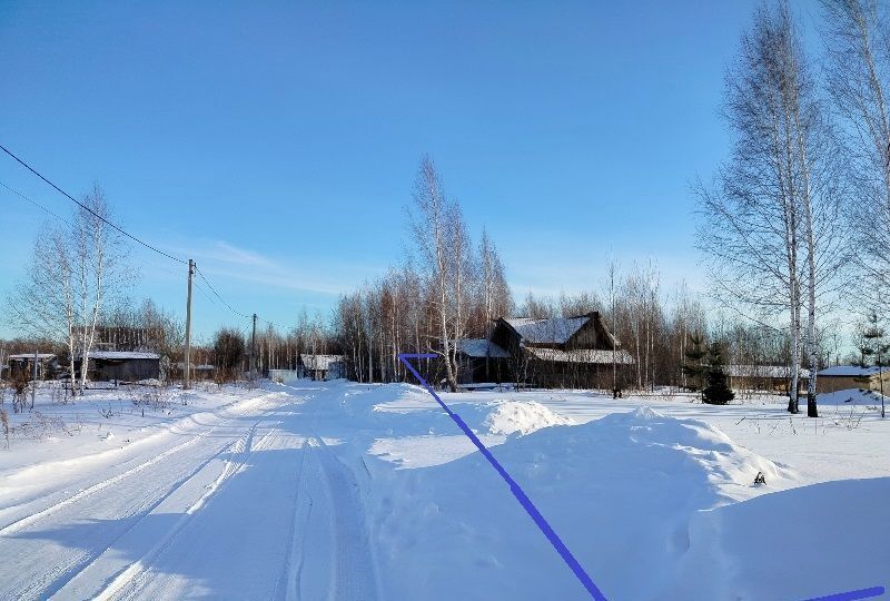 дом г Новосибирск ул Багратиона Станционный сельсовет, станция Мочище, Новосибирский р-н фото 1