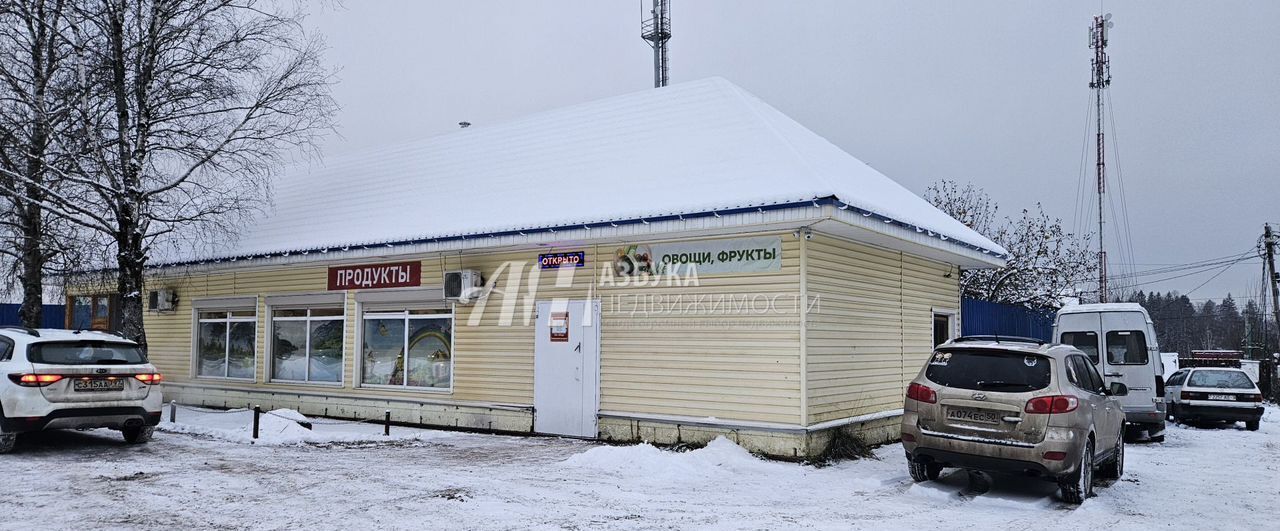 дом городской округ Одинцовский с Андреевское снт Андреевское-2 47 км, 110, Звенигород, Минское шоссе фото 27