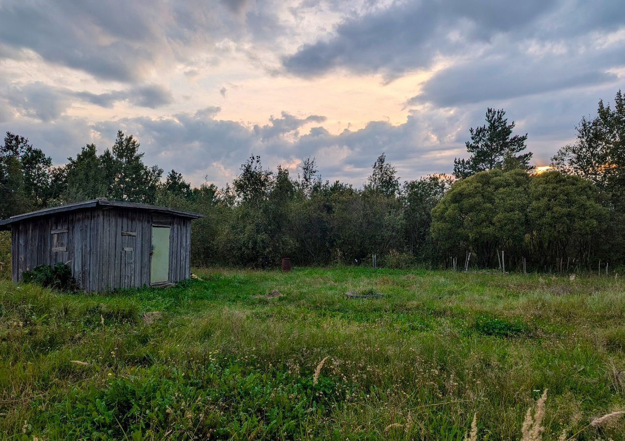 земля р-н Новгородский снт Заречное Панковское городское поселение, садоводческий массив № 3, садоводческое товарищество, Панковка фото 6