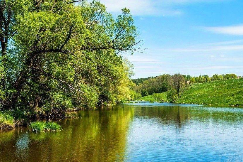 земля городской округ Ступино д Шелково фото 12