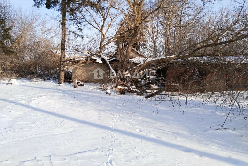 земля городской округ Зарайск д Дятлово-3 фото 7