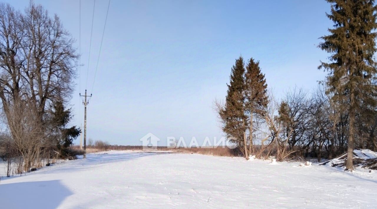 земля городской округ Зарайск Гагаринская улица фото 3