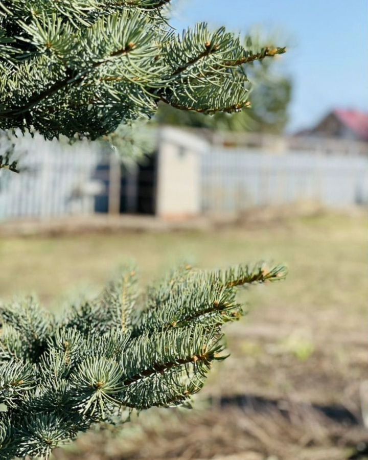 земля р-н Тукаевский с Большая Шильна ул Полевая 21 Республика Татарстан Татарстан, Малошильнинское сельское поселение, Набережные Челны фото 9