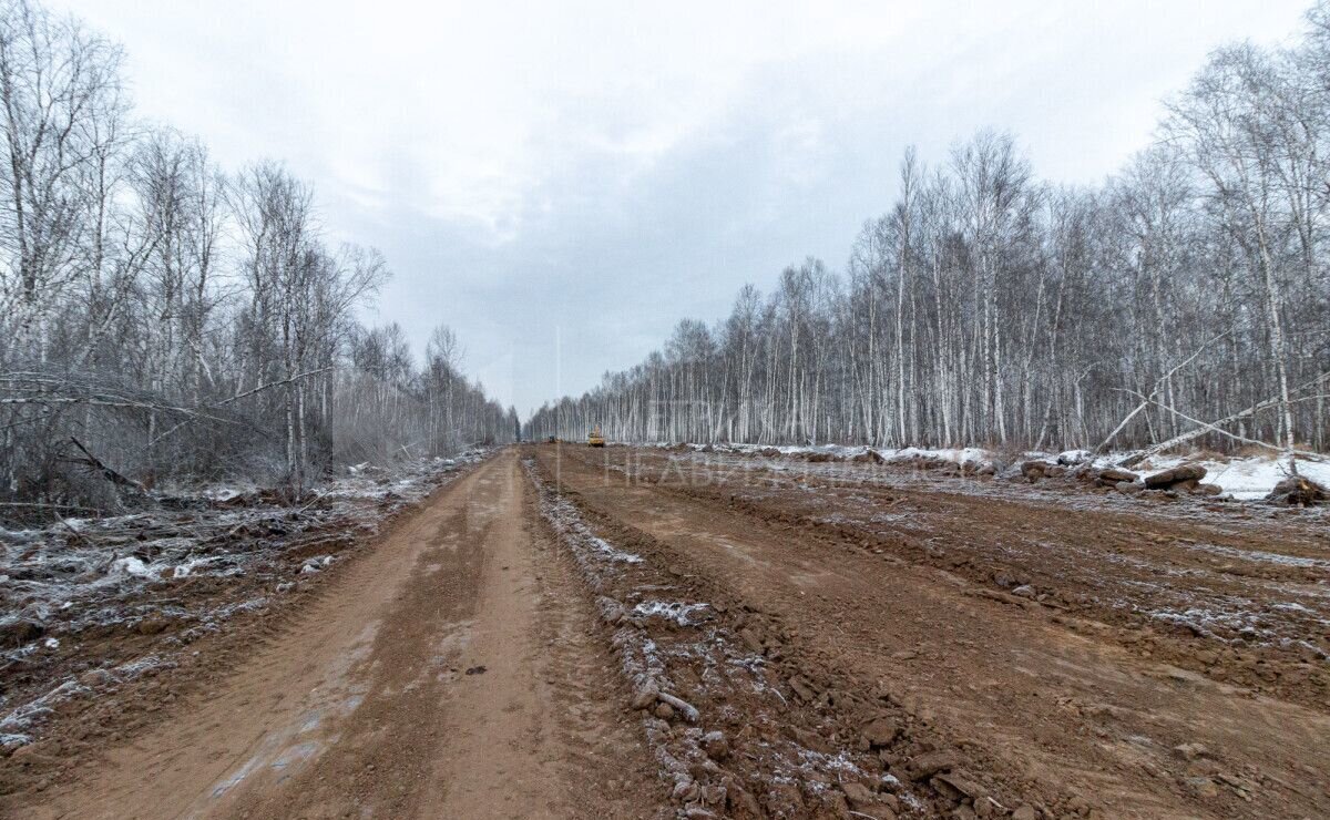 земля р-н Нижнетавдинский с Нижняя Тавда фото 11