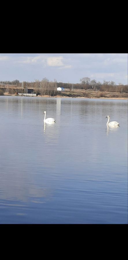 земля р-н Курский х Хоружевка Лебяженский сельсовет, Курск фото 6