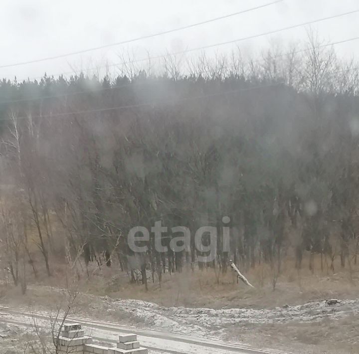 дом р-н Петропавловский с Петропавловка ул Сосновая фото 15