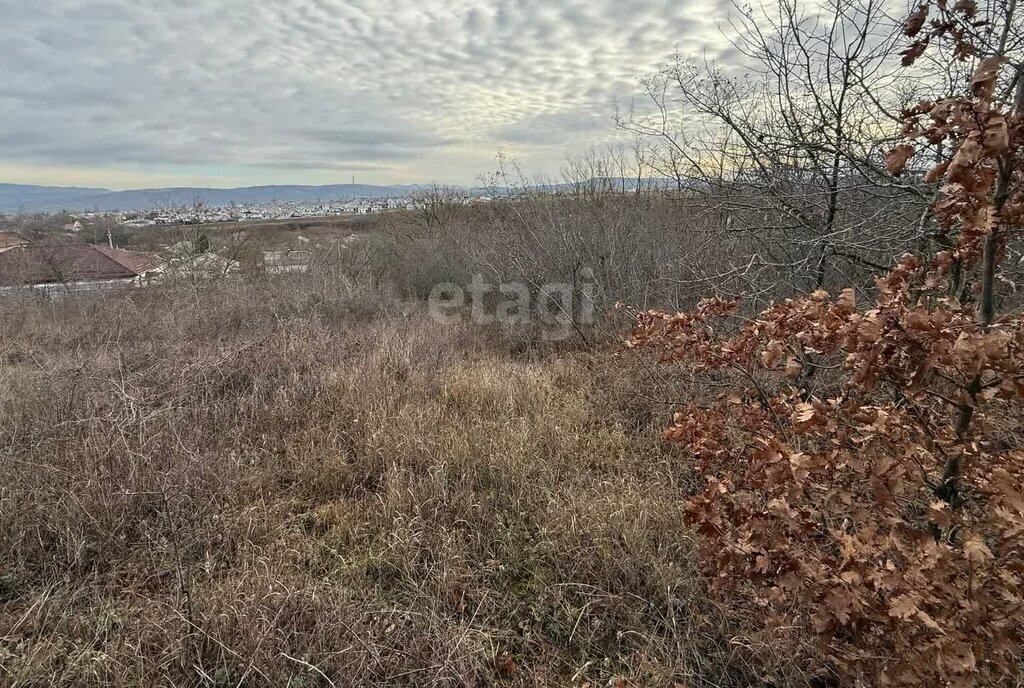 земля г Новороссийск ст-ца Раевская фото 3