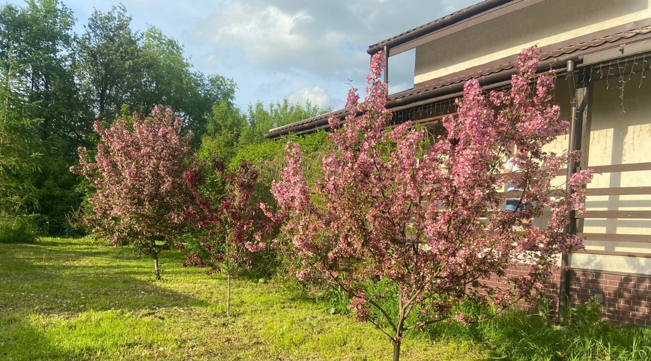 дом городской округ Раменский днп Белаго ул Поречная 11 фото 34