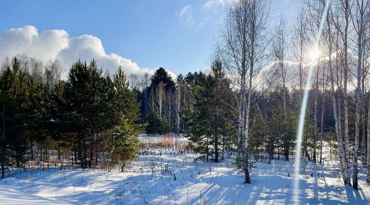 земля р-н Тюменский с Салаирка фото 2